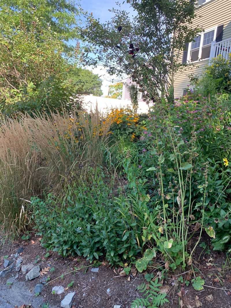 Why January Is The Easiest Time To Tackle This Task In Texas