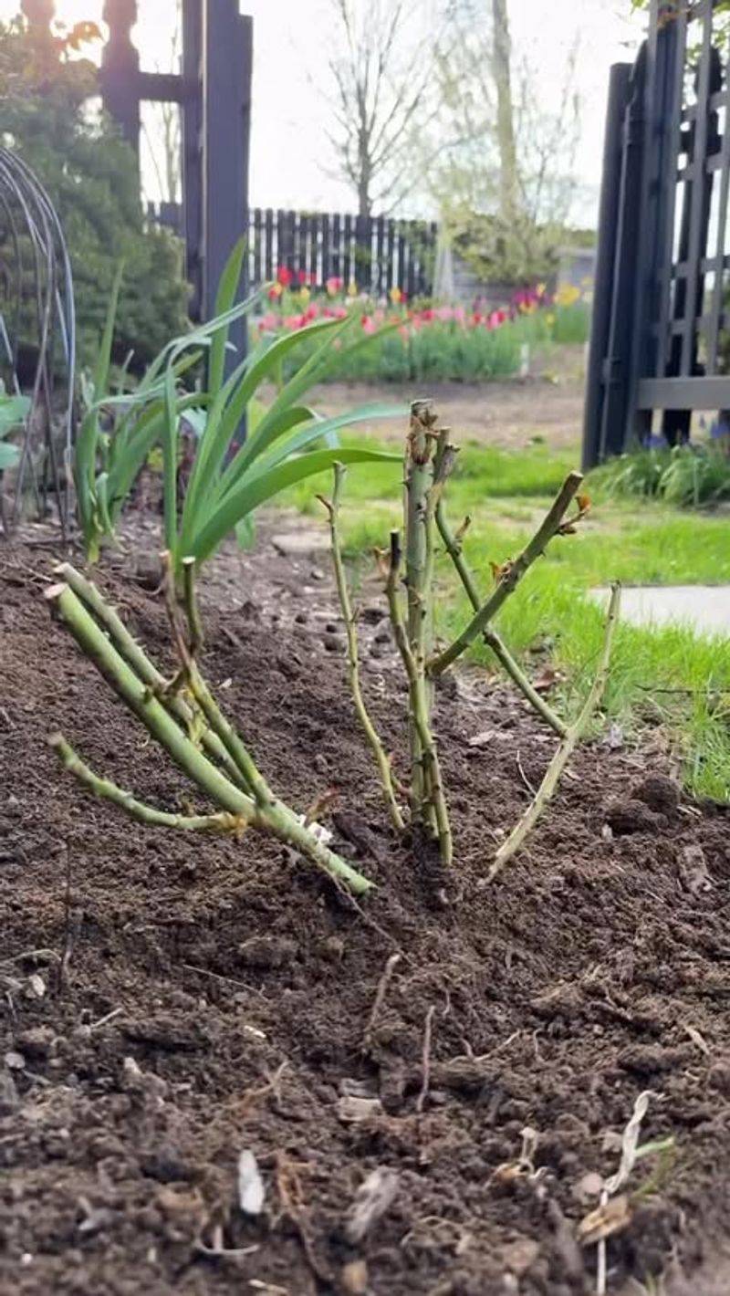 This Timing Reduces Common Propagation Setbacks