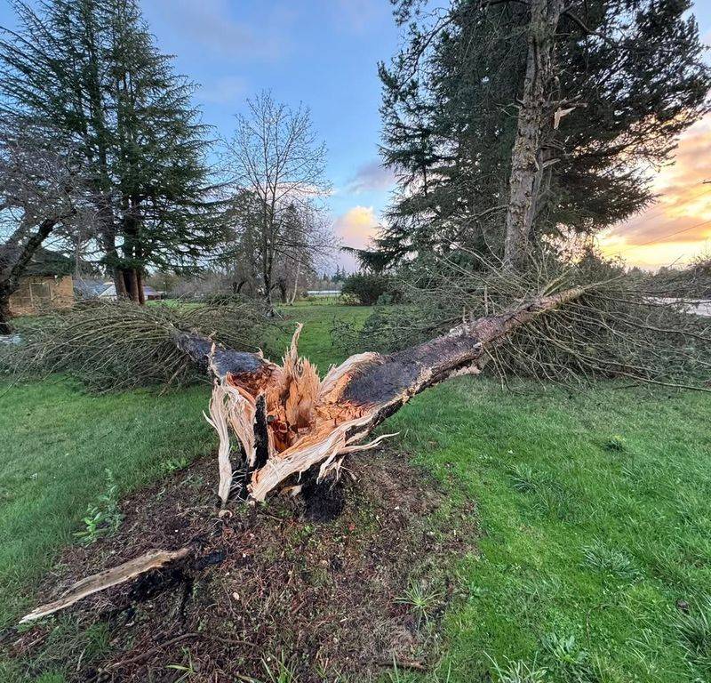 Your Neighbor Handles Damage On Their Side