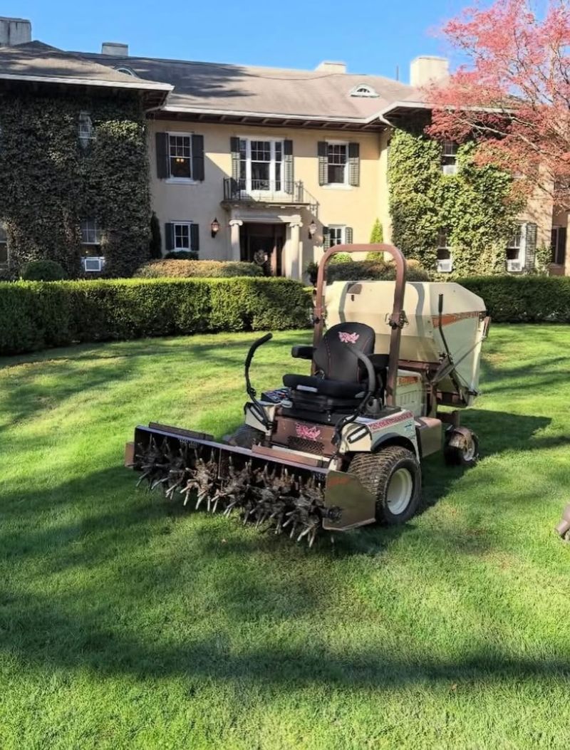 Maintenance Rules That Affect Garden Appearance