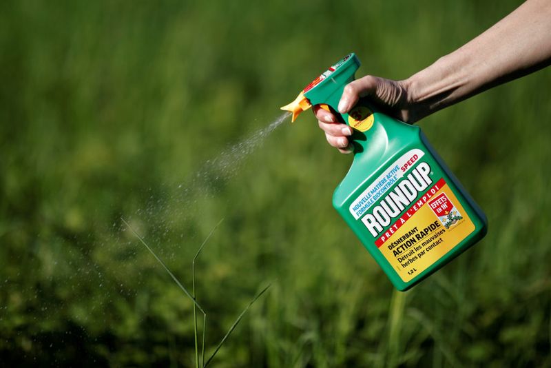 Herbicides Containing Glyphosate