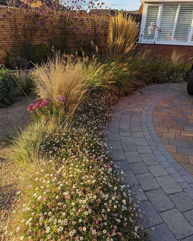 Unmanaged Natural Areas That Neighbors Consider Overgrown