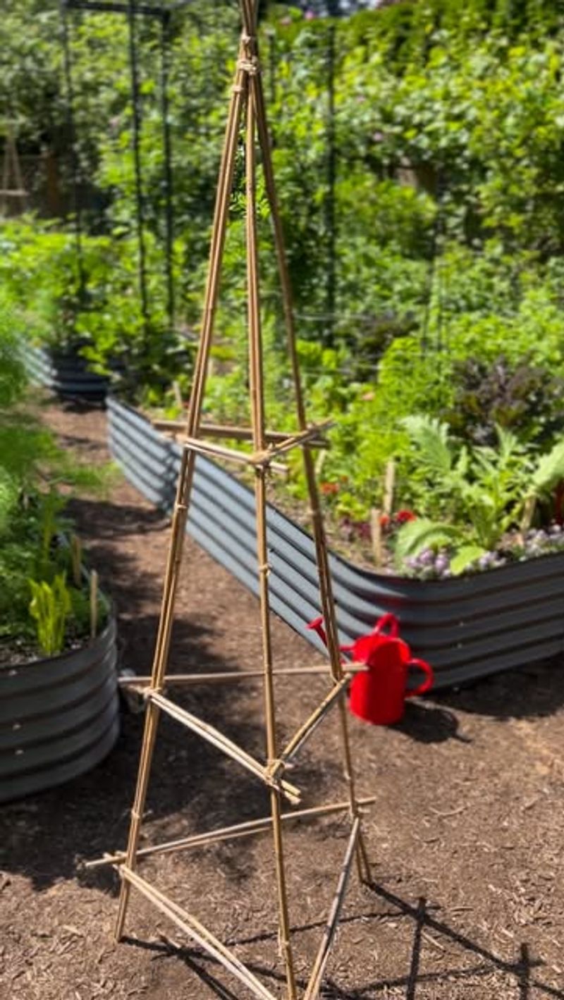 DIY Trellis Ideas Using Budget-Friendly Materials