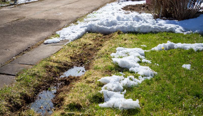 Damaged Groundcovers Or Lawn Patches
