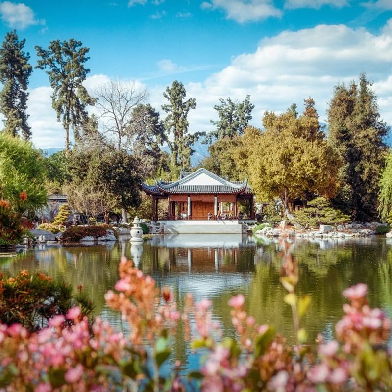 Huntington Library, Art Museum, And Botanical Gardens