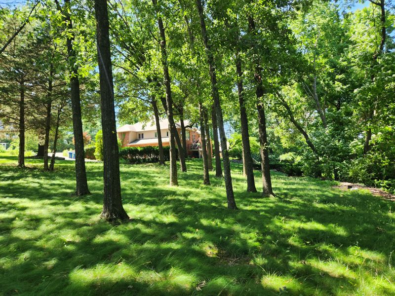 Attracting Wildlife to Enhance the Woodland Experience