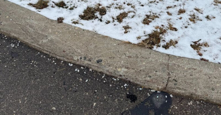 lawn next to road in snow