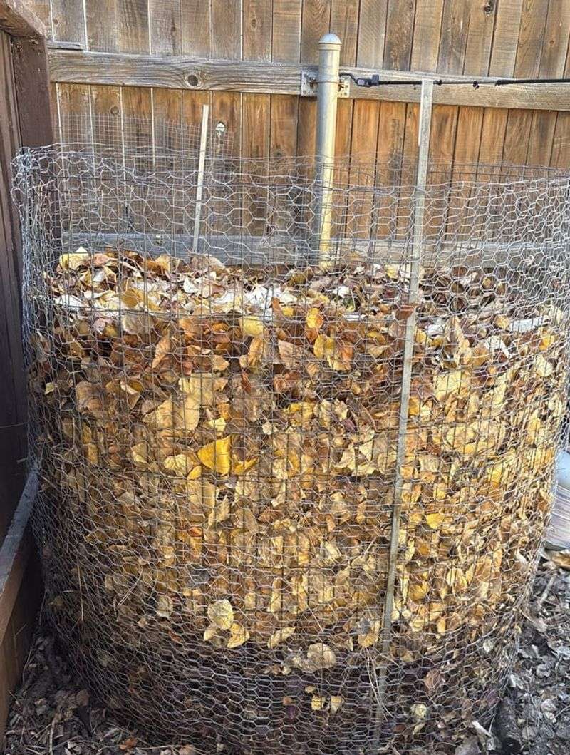 Matted Leaves That Form Waterproof Layers