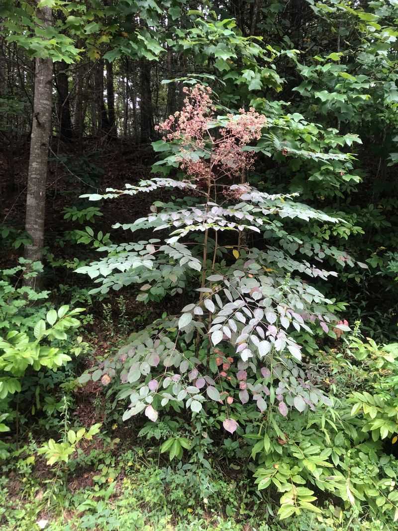 Seasonal Visibility Makes It Stand Out