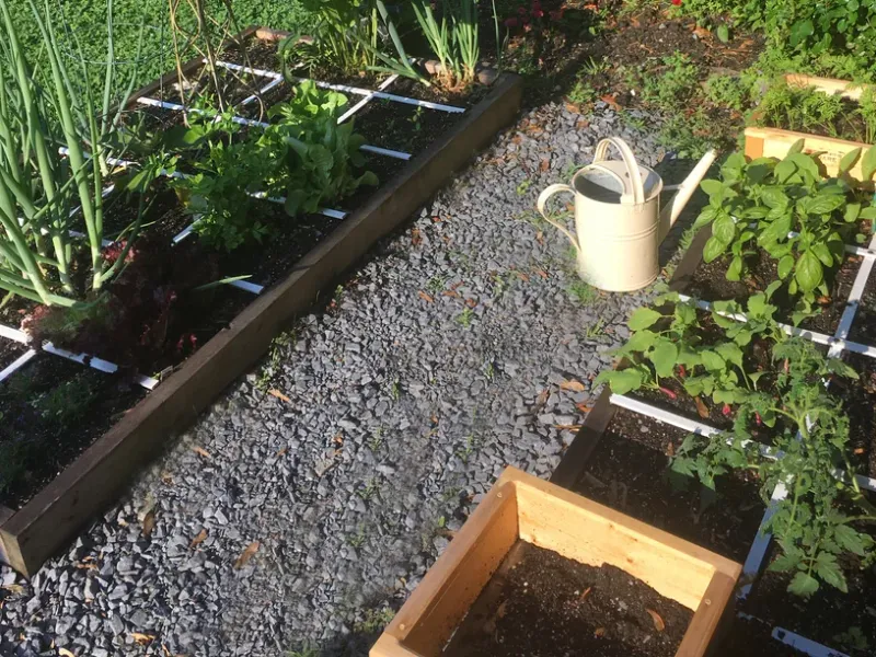 Plan Your Spring Vegetable Garden