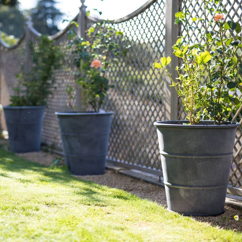 Check And Repair Garden Structures