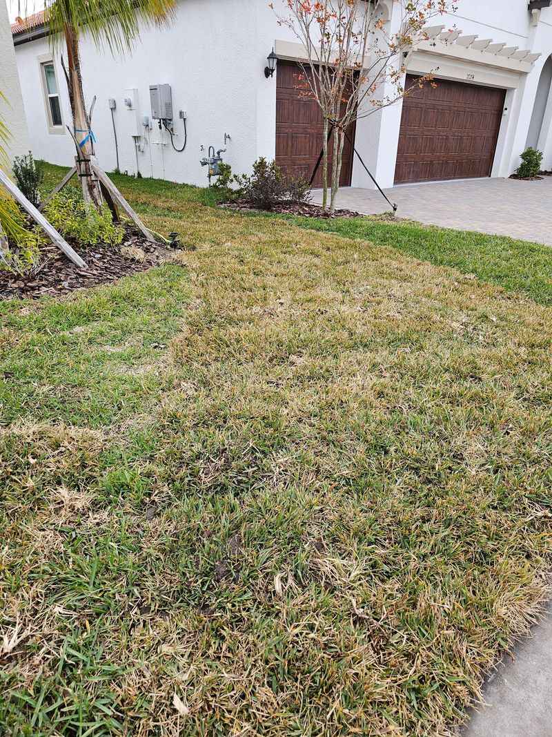 Dormant Lawns In Central And North Florida Don't Need Food Yet