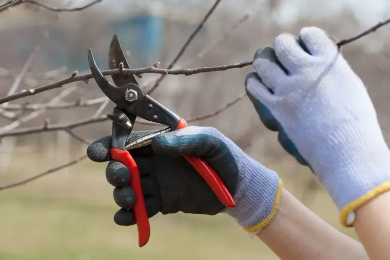 Sanitize Tools Between Cuts