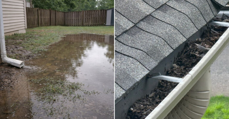 flooded yard and cluttered gutter