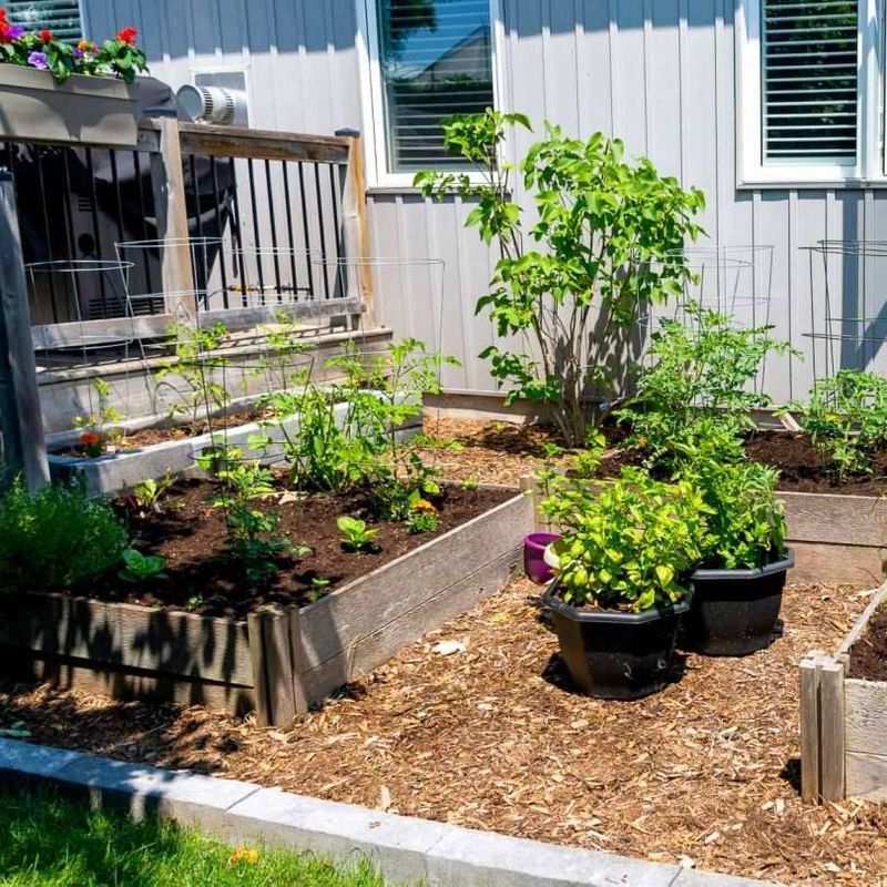 Mulched Beds That Feed The Soil