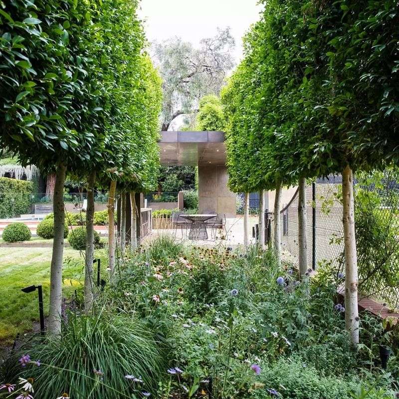 Landscaping with Trees