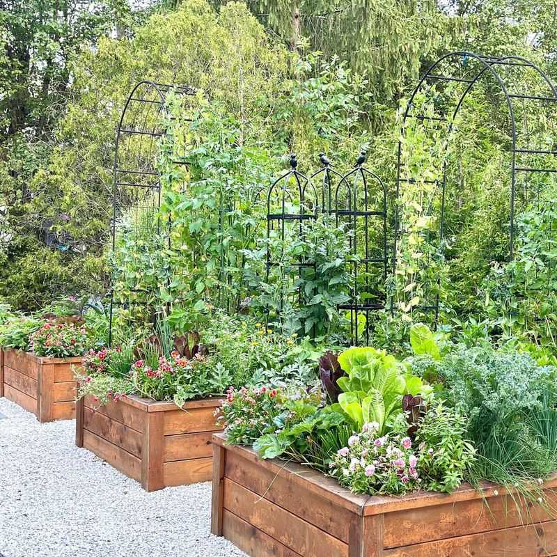 Raised Bed Vegetable Gardens