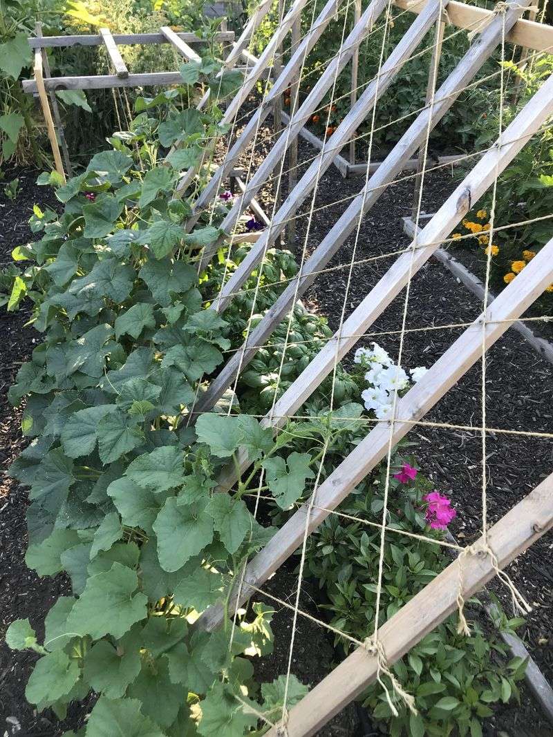 Vertical Garden Structures