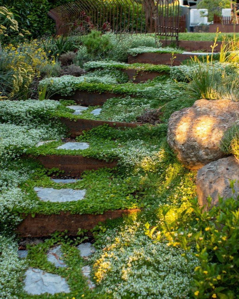 Stepping Stone Paths Through Ground Cover