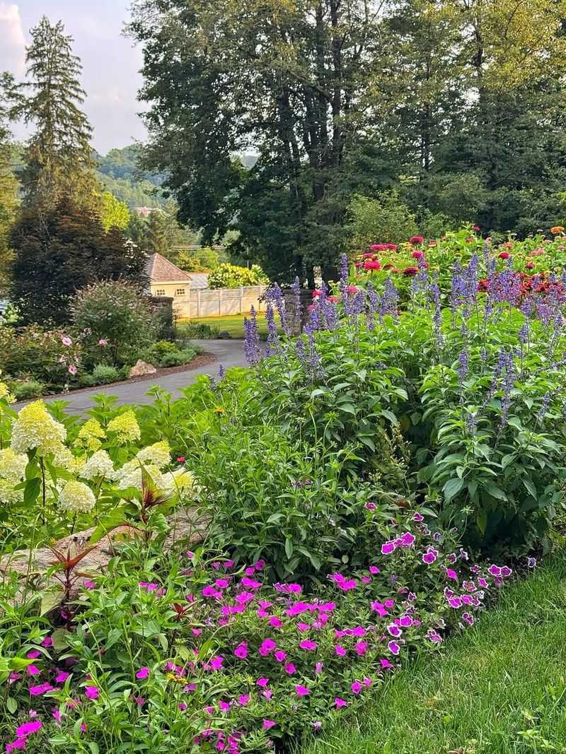 Cottage Garden Beds With Mixed Plantings