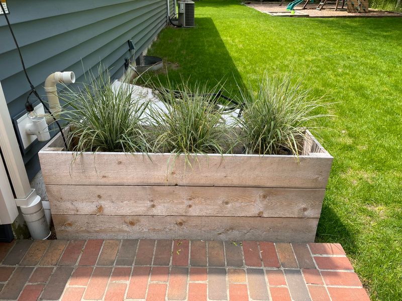 Ornamental Grass Garden Beds