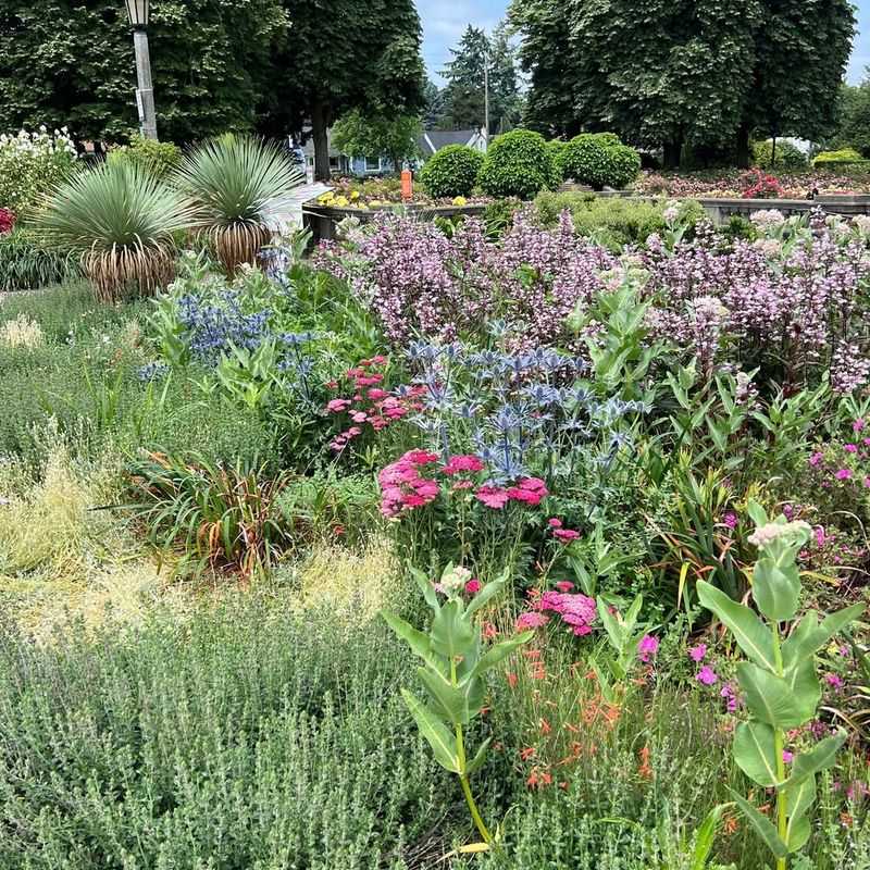 Pollinator-Friendly Zones