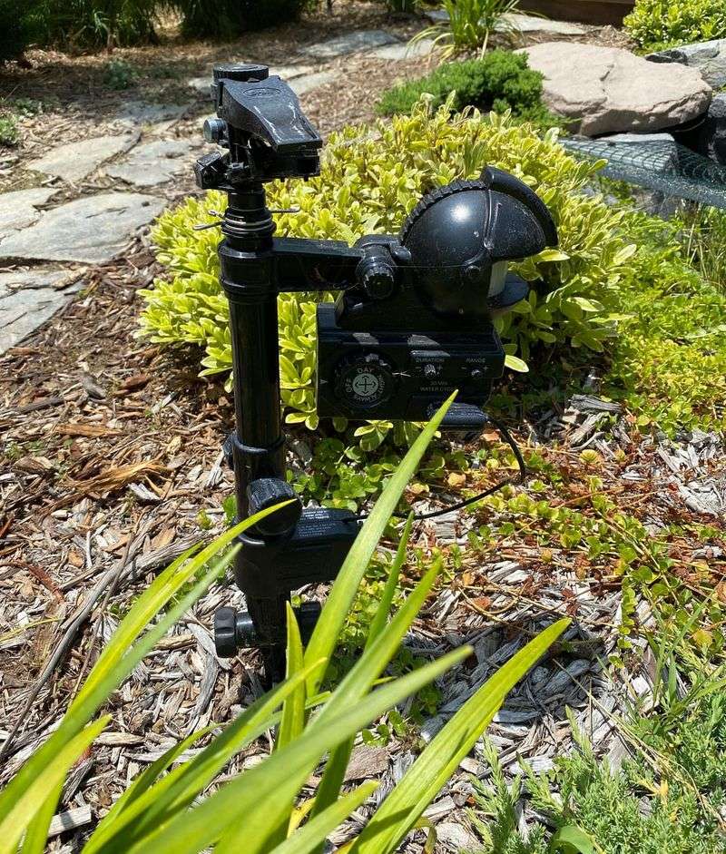 Install Motion-Activated Deterrents