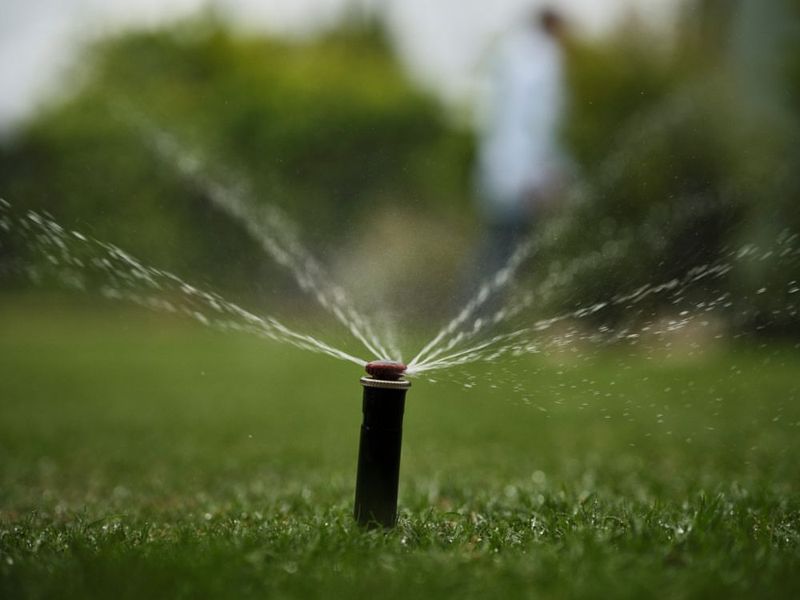 Fix Irrigation Issues That Favor Weed Growth