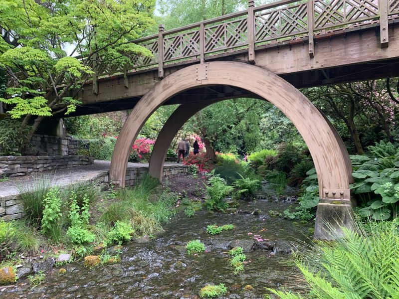 Crystal Springs Rhododendron Garden (Portland)