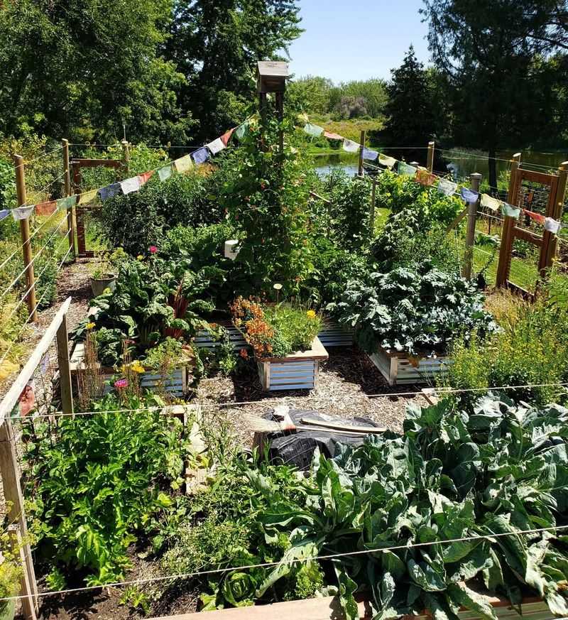 Aim For Low-Effort Beautiful, Not Perfection