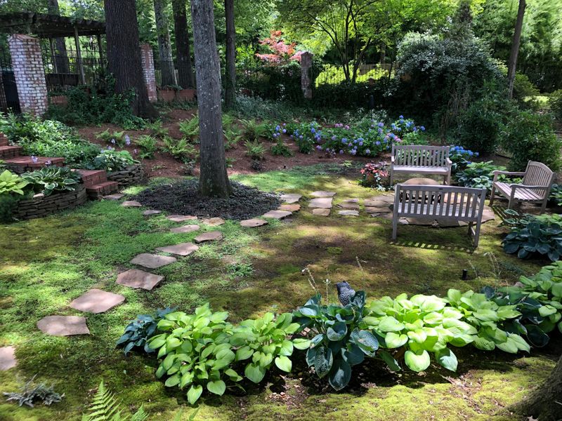 Selecting Shade-Loving Plants That Complement Mossy Landscapes