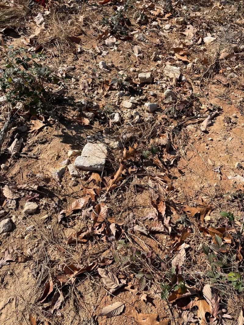 Reducing Moist Hiding Places