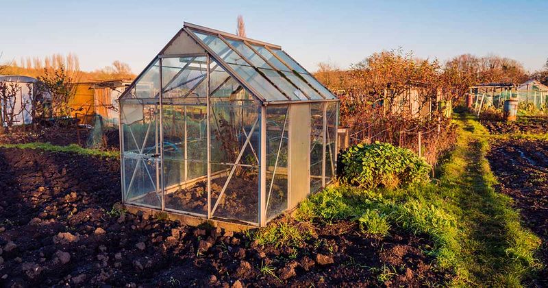 Cost-Effective Alternative To Permanent Greenhouses