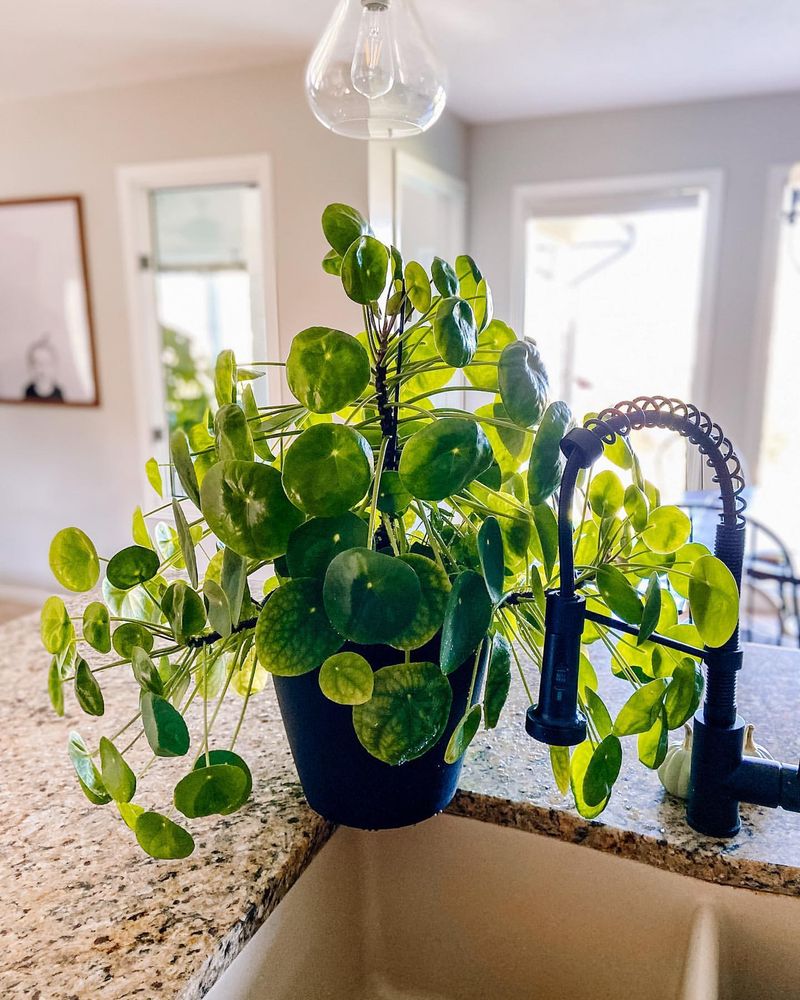 Living Rooms As Energy Gathering Spaces