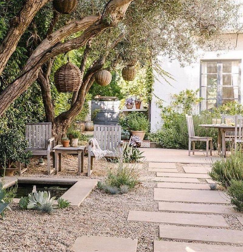 Drought-Tolerant Gardens Don't Need Mulch Or Maintenance