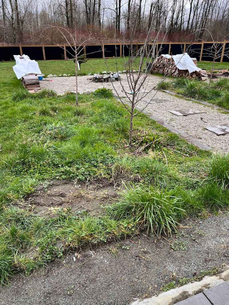 Manage Weeds and Pests Effectively