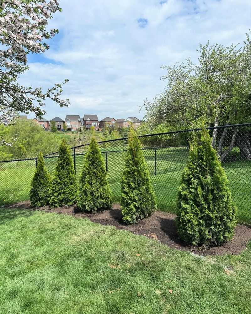 Assess Your Privacy And Screening Goals