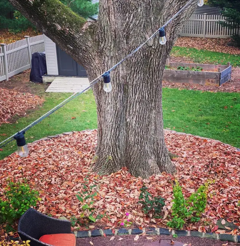 Assess Maintenance Requirements And Cleanup Needs