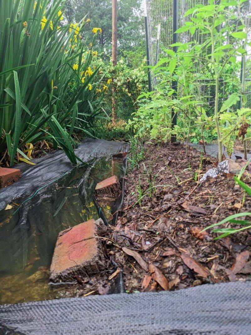 Heavy Spring Rains Cause Compaction