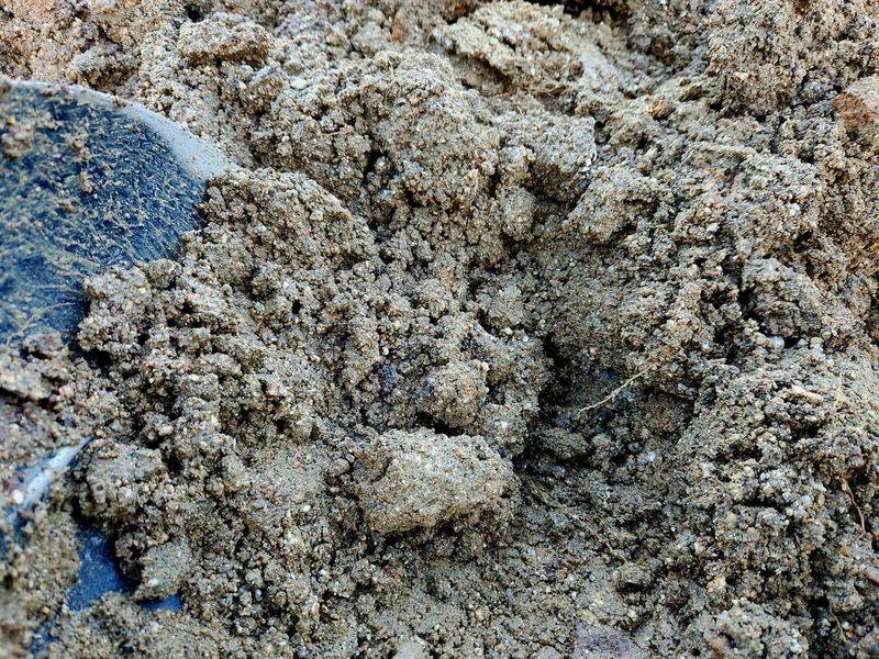 Adding Sand to Clay Soil Improves Drainage