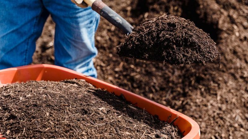 Applying Mulch Before Soil Warms Properly