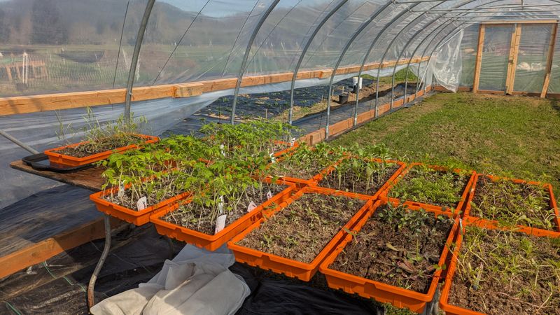 Warmer Soil Temperatures Year-Round