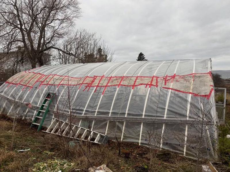 Protection From Heavy Rain And Hail Damage