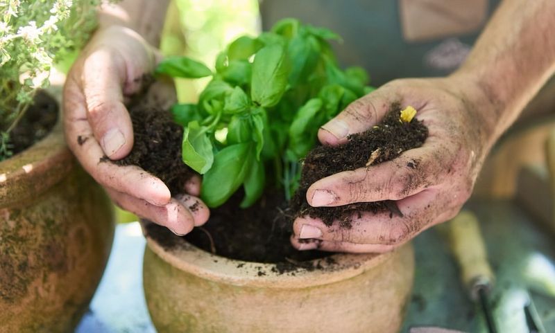 Using Poor Quality Or Wrong Type Of Soil