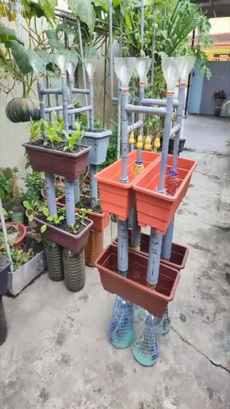 Self-Watering Systems Transition from Windowsills to Yards