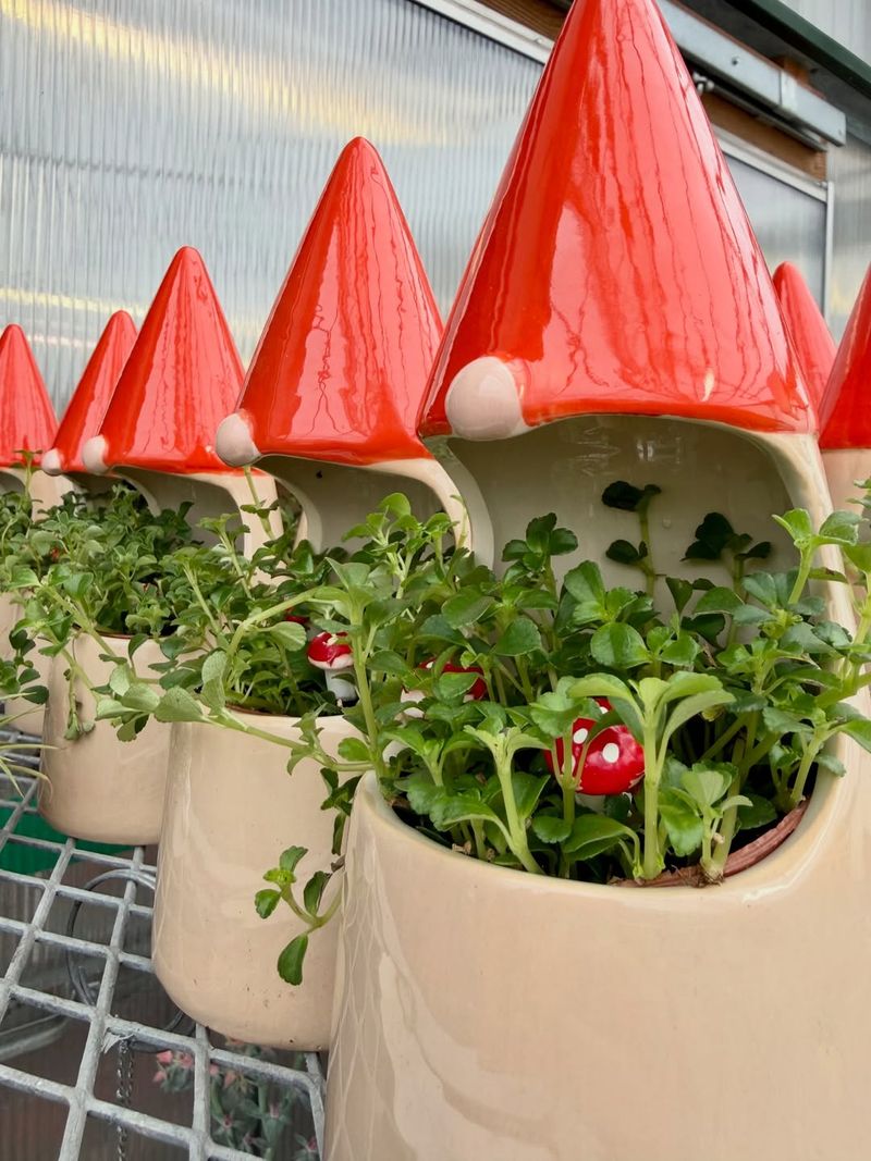 Mushroom Planters