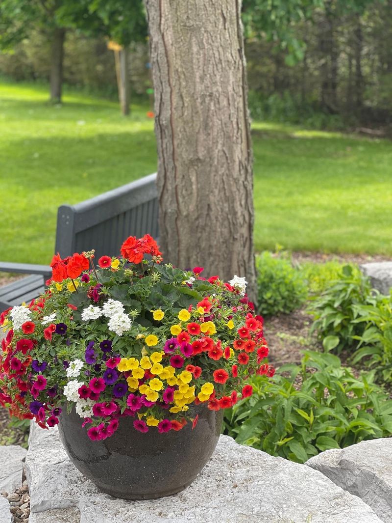 Refreshing Containers As The Season Progresses