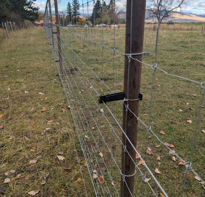 Electric or Barbed Wire Fences