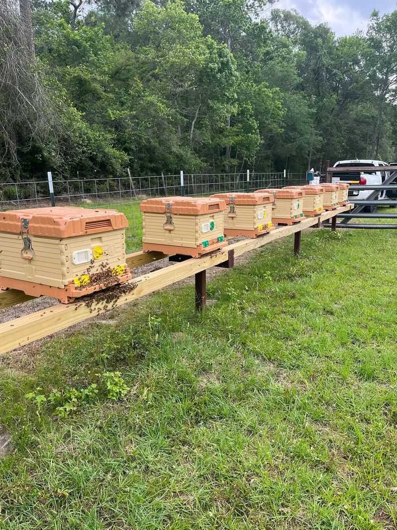 Beehives