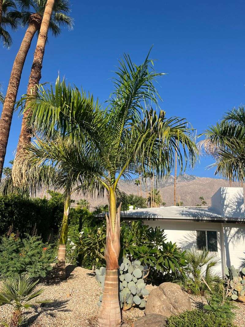 Monitor Make Adjustments